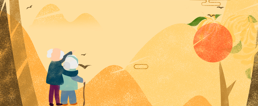 国家老龄事业发展和养老服务体系规划